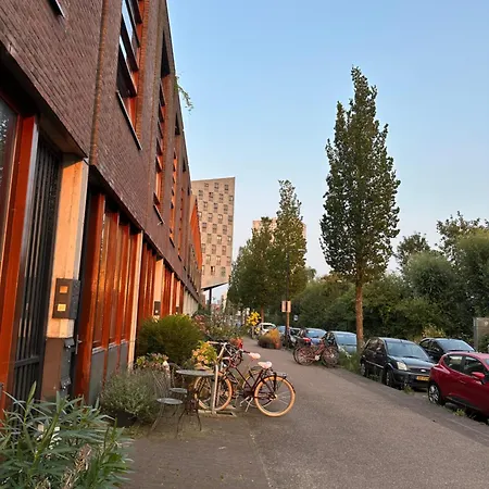 Cosy Studio, With Outdoor Swimming Amsterdam